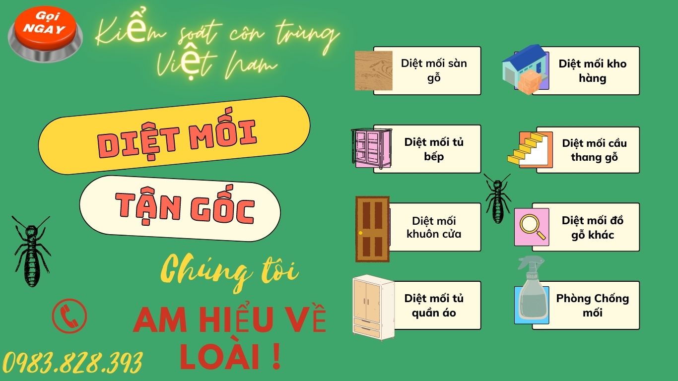 Kiểm soát côn trùng Việt nam - Chuyên gia kiểm soát các loại côn trùng Hại 