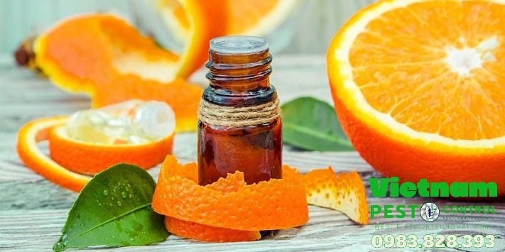 Cách diệt mối gỗ bằng tinh dầu cam