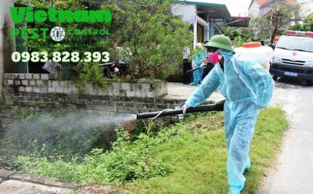 Dịch vụ diệt ruồi chuyên nghiệp tại Hà Nội: Giải pháp hiệu quả cho vấn đề ruồi gây phiền toái