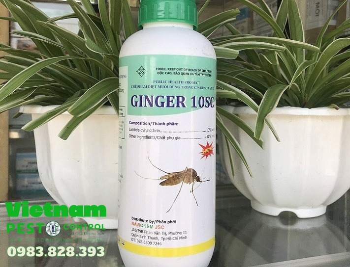 Thuốc diệt muỗi không mùi Ginger 10SC