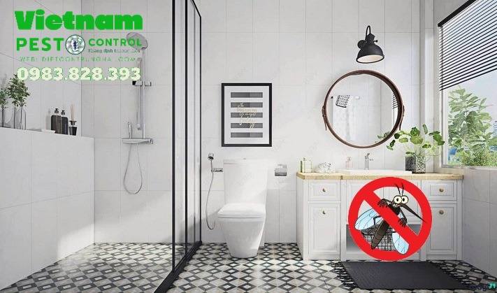 Lý do muỗi thường trú ngụ trong nhà vệ sinh