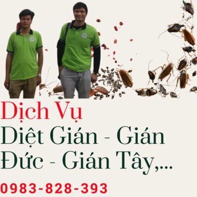 Dịch vụ diệt gián tận nơi tại nhà dân tại Hà Nội