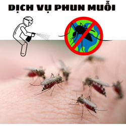 Dịch vụ phun thuốc muỗi
