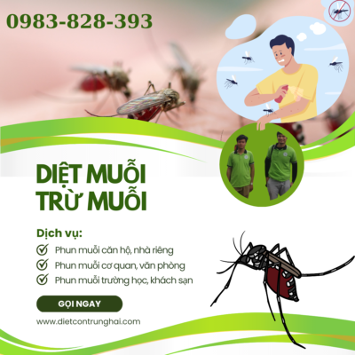 dịch vụ phun thuốc diệt muỗi
